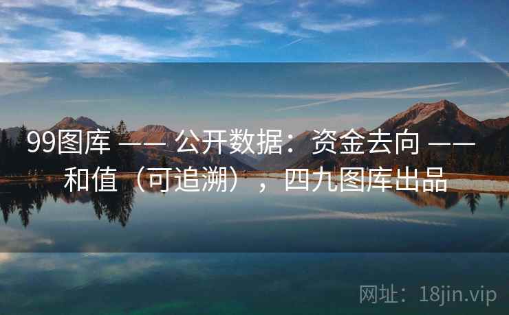 99图库 —— 公开数据：资金去向 —— 和值（可追溯），四九图库出品